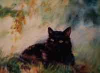 Pastel animalier. Portrait de la chatte Caloute 