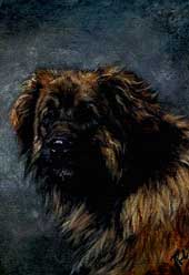 Pastel animalier. Portrait d'un Leonberg 