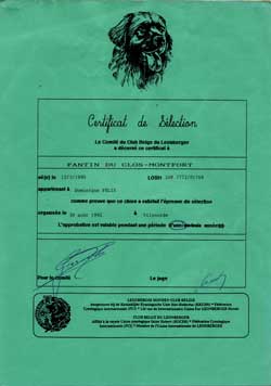 Slection du Club belge du Leonberger, pour un an