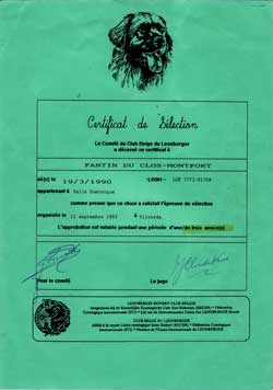 Sélection du Club belge du Leonberger, pour trois ans