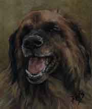 Pastel animalier. Portrait d'un Leonberger