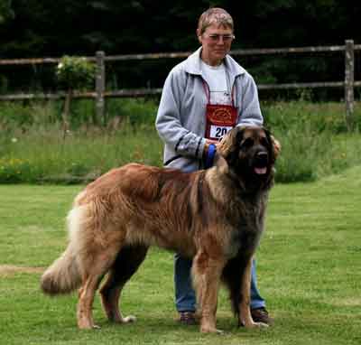 Rgionale Leonberg Fontaine-Henry en 2007