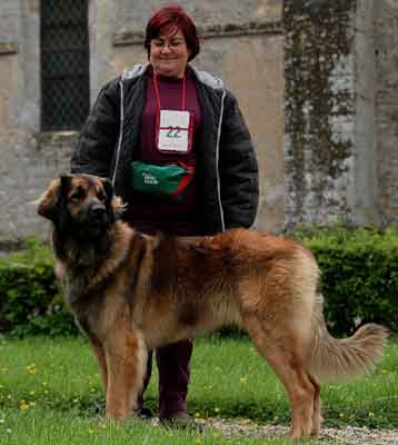 Rgionale  Leonberg Fontaine-Henry en 2007