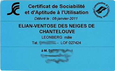 Cliquer sur le document pour qu'il s'affiche en grand format